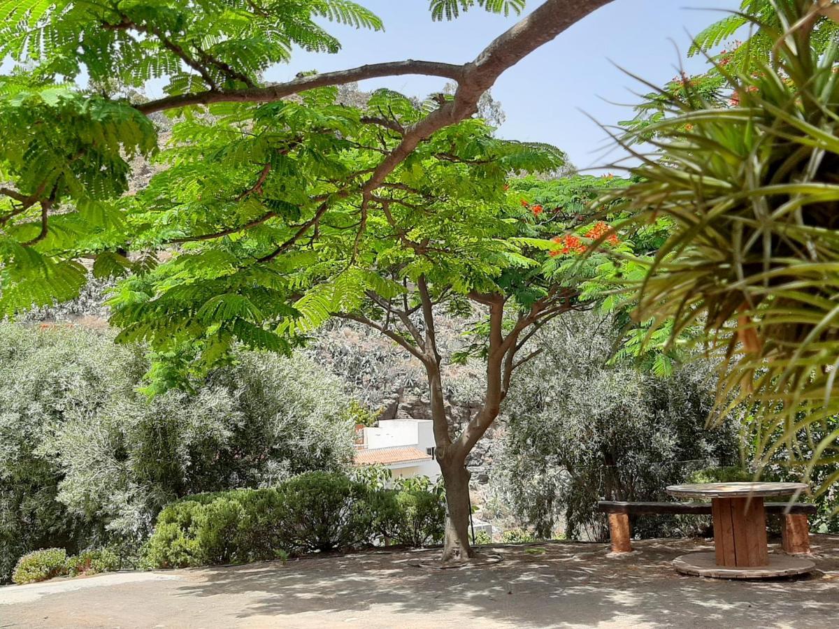 Peaceful House Set On A Vineyard & Work Friendly Villa Valsequillo Eksteriør bilde