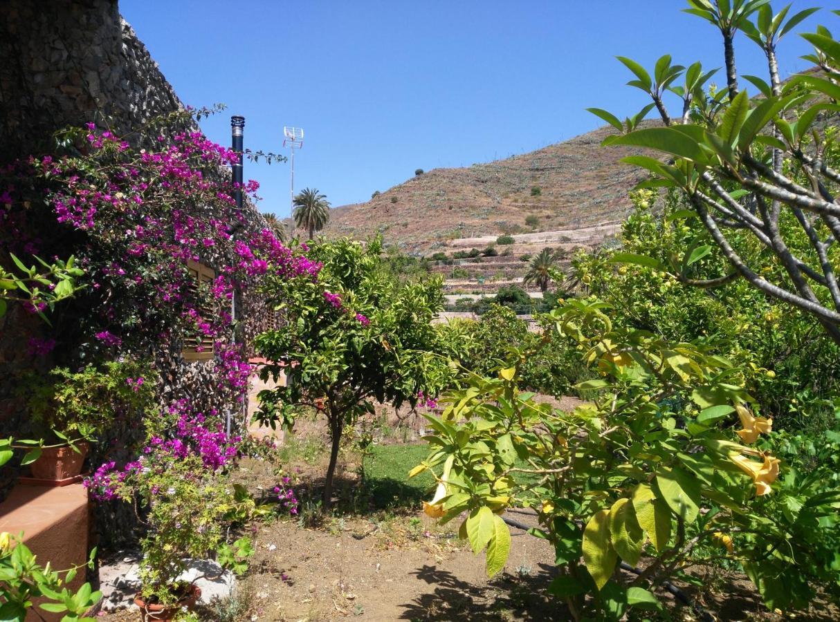 Peaceful House Set On A Vineyard & Work Friendly Villa Valsequillo Eksteriør bilde
